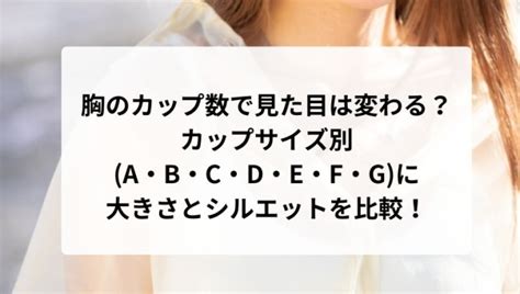 菜々緒 カップ数|胸のカップ数で見た目はどのくらい違う？各カップ数（A・B・C。